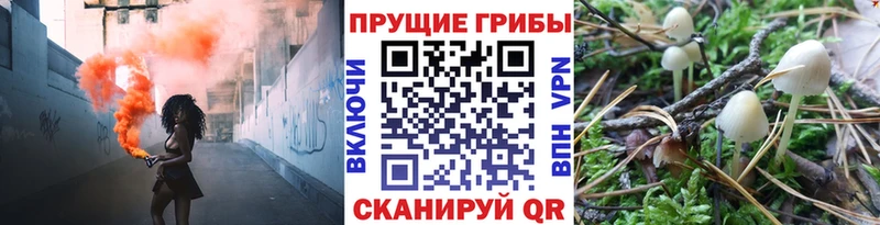 Галлюциногенные грибы GOLDEN TEACHER  Чистополь 